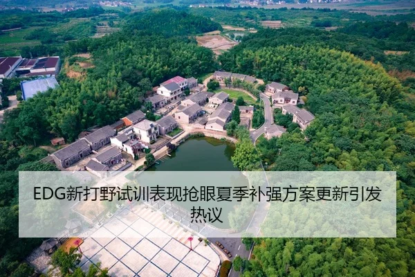 EDG新打野试训表现抢眼夏季补强方案更新引发热议